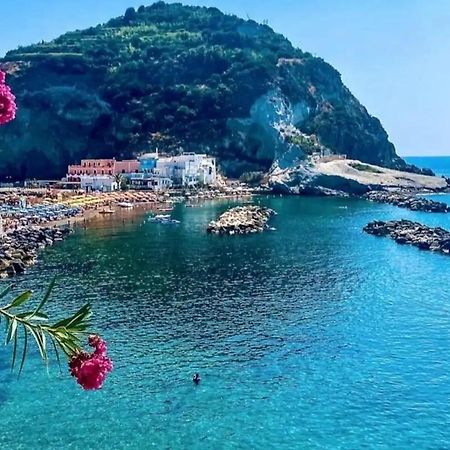 Mare Nostrum - Beachfront House - Sant'Angelo Ischia Екстер'єр фото