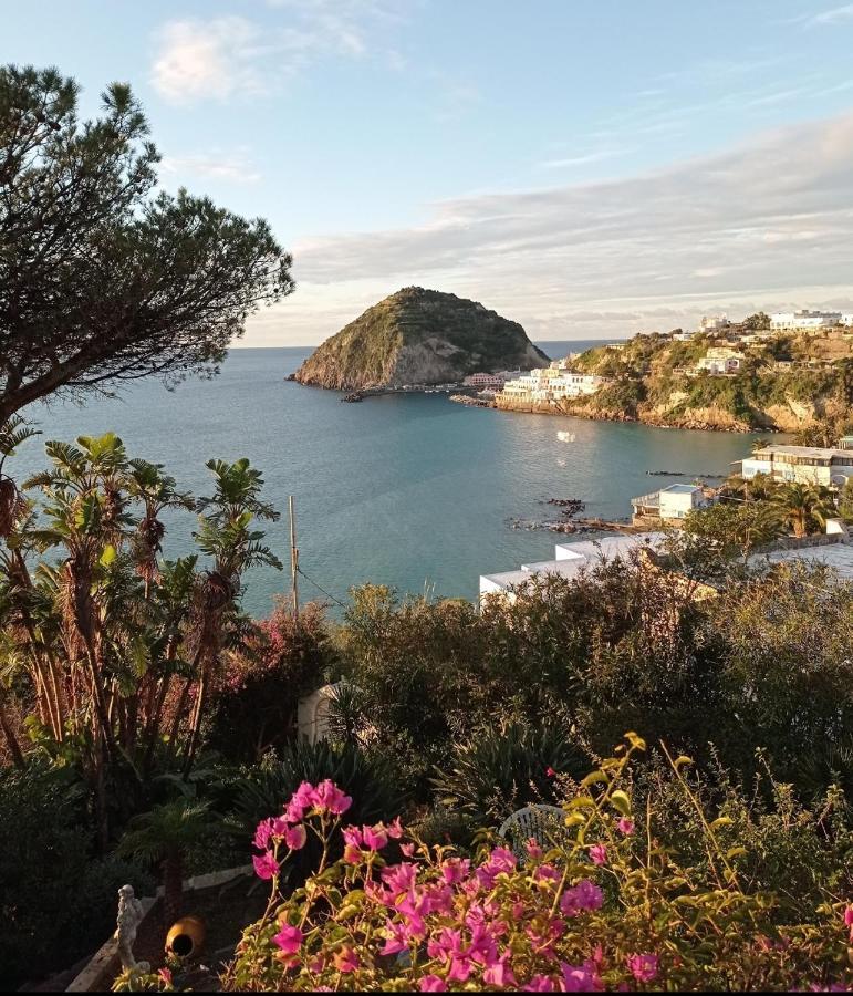 Mare Nostrum - Beachfront House - Sant'Angelo Ischia Екстер'єр фото